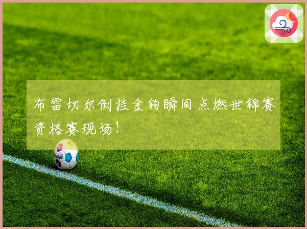 布雷切尔倒挂金钩瞬间点燃世锦赛资格赛现场！